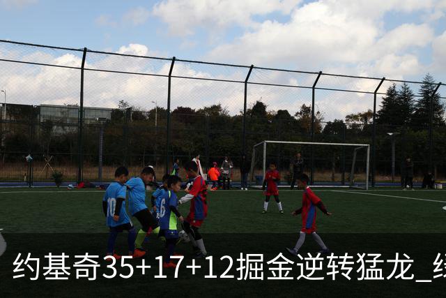 约基奇35+17+12掘金逆转猛龙 绿军大胜开拓者